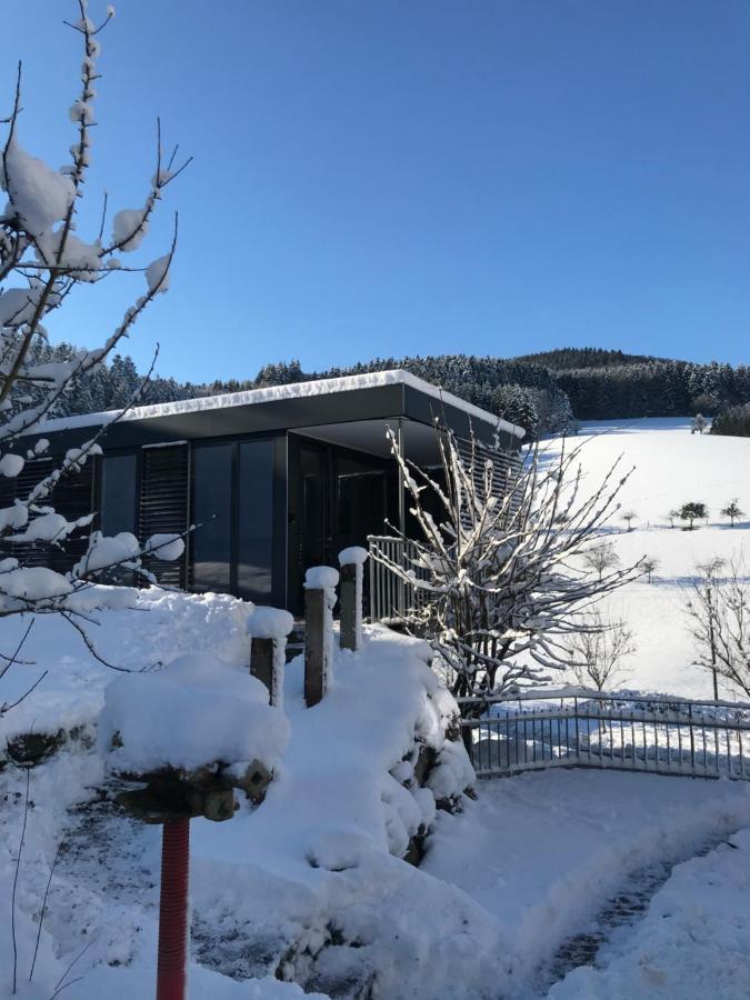 Biberach  S-Suite Das Design-Ferienhaus Im Schwarzwald מראה חיצוני תמונה
