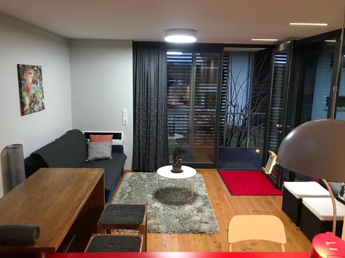 Biberach  S-Suite Das Design-Ferienhaus Im Schwarzwald מראה חיצוני תמונה