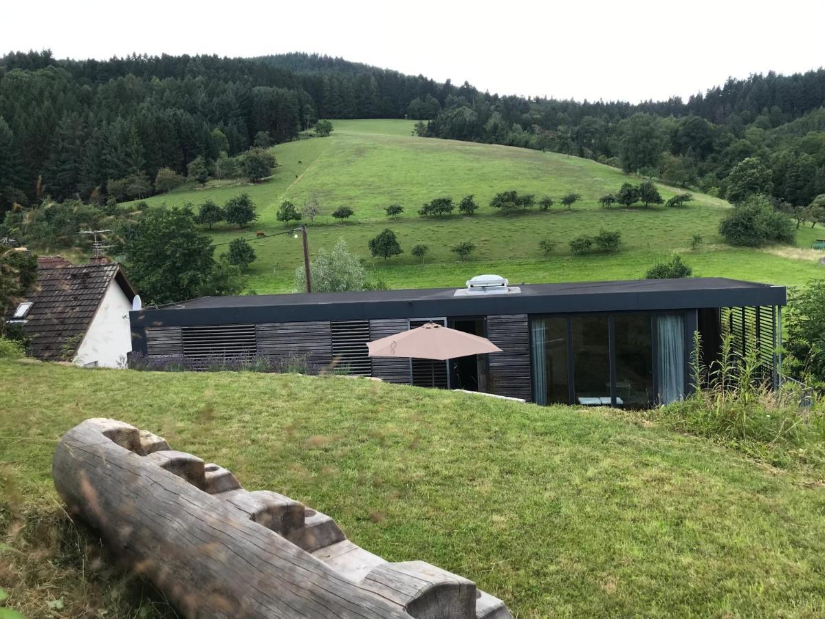 Biberach  S-Suite Das Design-Ferienhaus Im Schwarzwald מראה חיצוני תמונה